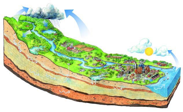 Integrated Watershed Management Graphic - Conservation Ontario